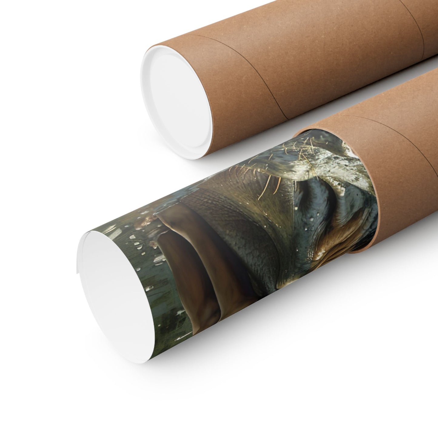 Matte Vertical Posters